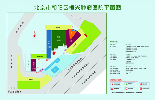 啊～操s我～北京市朝阳区桓兴肿瘤医院平面图